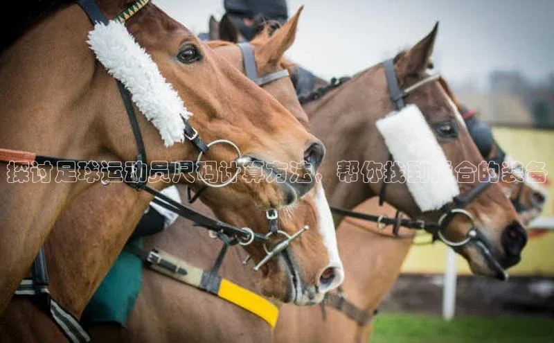 意昂2登录入口美团