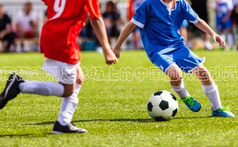 意昂3体育诸葛科技