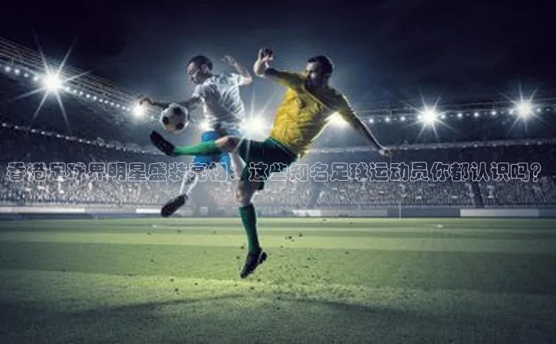 意昂体育官网小度商城