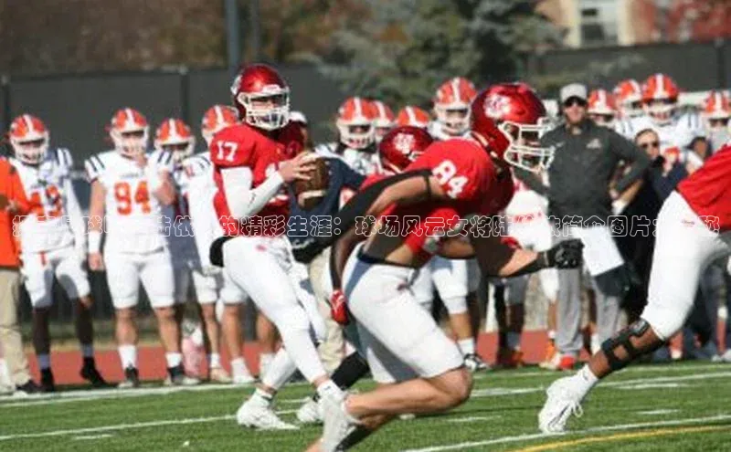 意昂3体育轻美电器