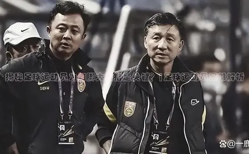 意昂体育官网小度商城