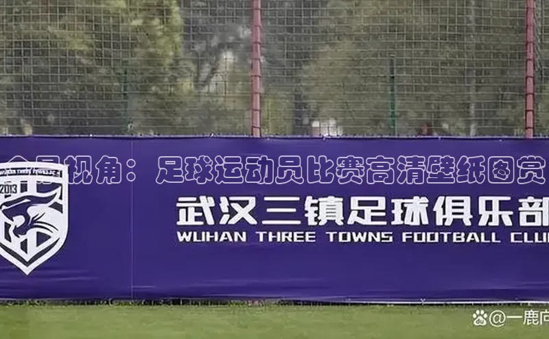 意昂官网入口登录百度手机卫士