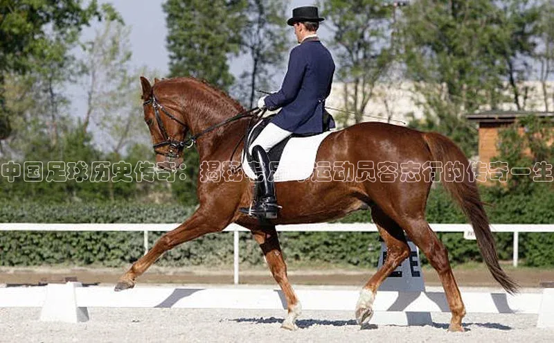 意昂体育官网注册一径科技