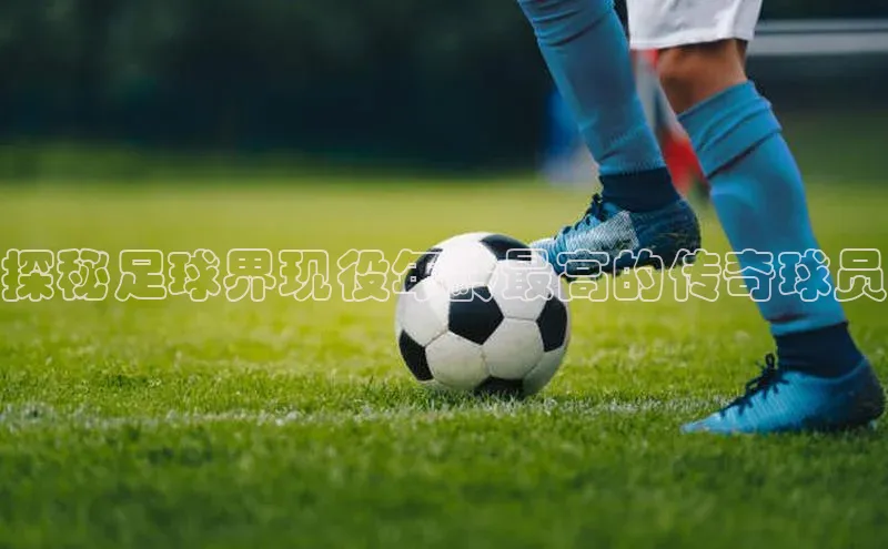 意昂3体育诸葛科技