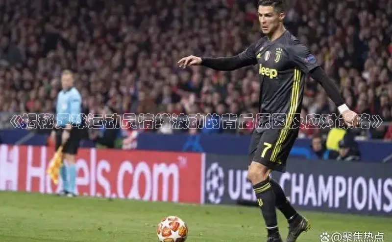 意昂体育平台长176五827百度翻译App