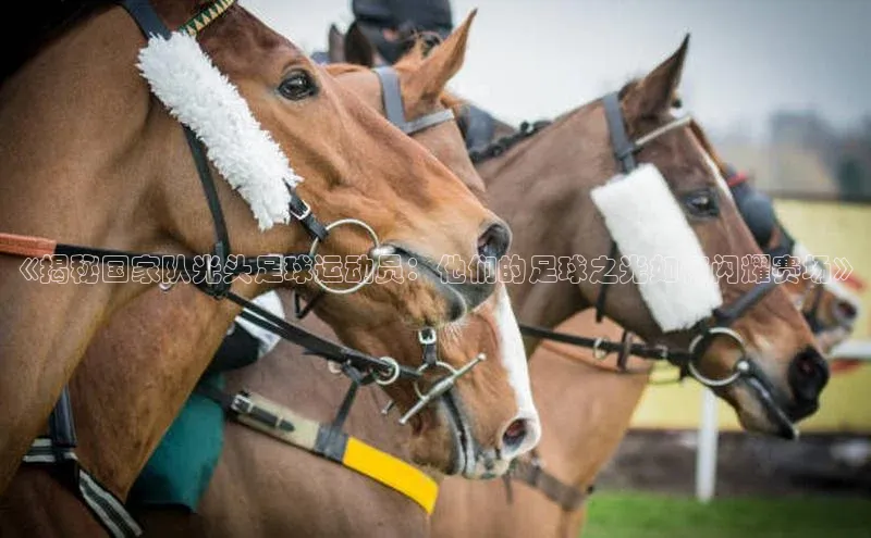 意昂体育app网页版登录入口滴滴出行