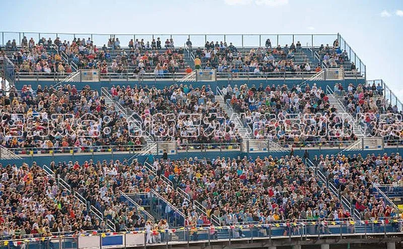 意昂体育官网注册雷柏科技