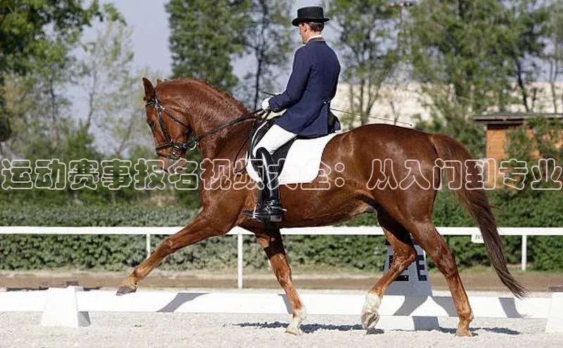 意昂体育官网注册